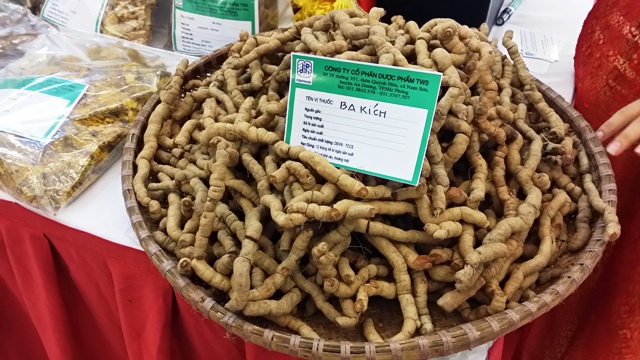 Thành lập Ban chỉ đạo xây dựng Vườn bảo tồn và phát triển cây thuốc Quốc gia Yên Tử